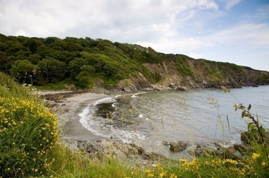 Image result for Polridmouth Cove Beach